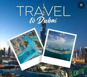 uae e visa processing time